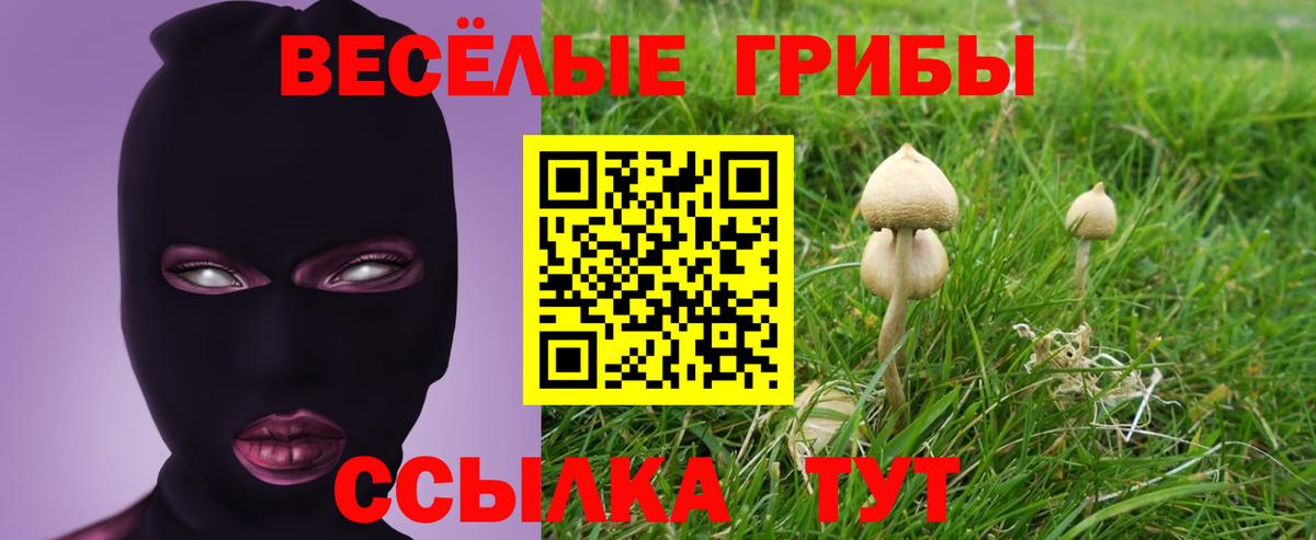Кировск  Галлюциногенные грибы мухоморы  Вход с VPN 